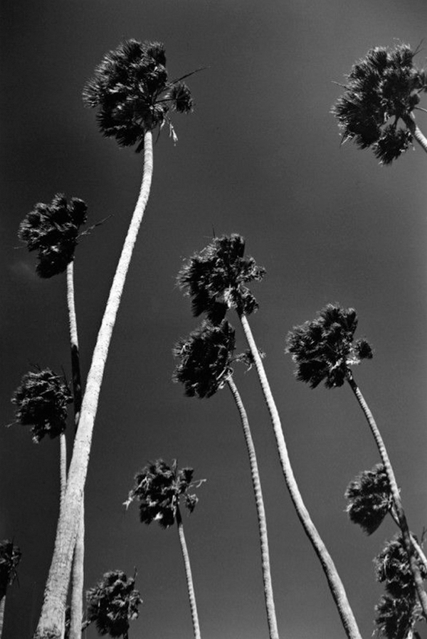 BIOBN, media: Home (Fig. 2)