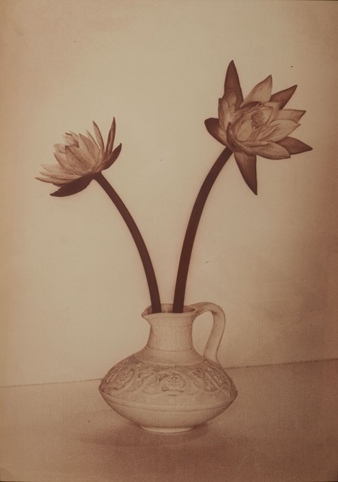 BIOBN, media: Home (Fig. 3)