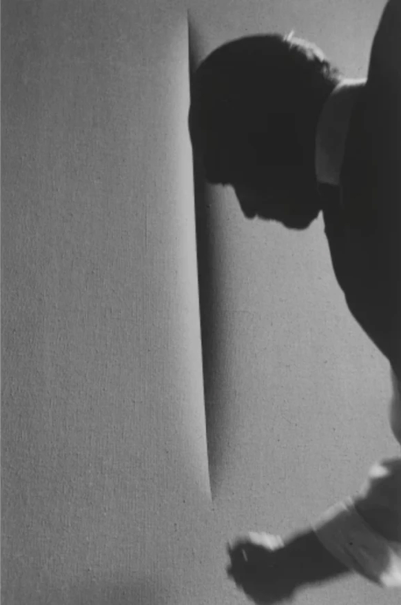 BIOBN, media: Moodboard (Fig. 33)