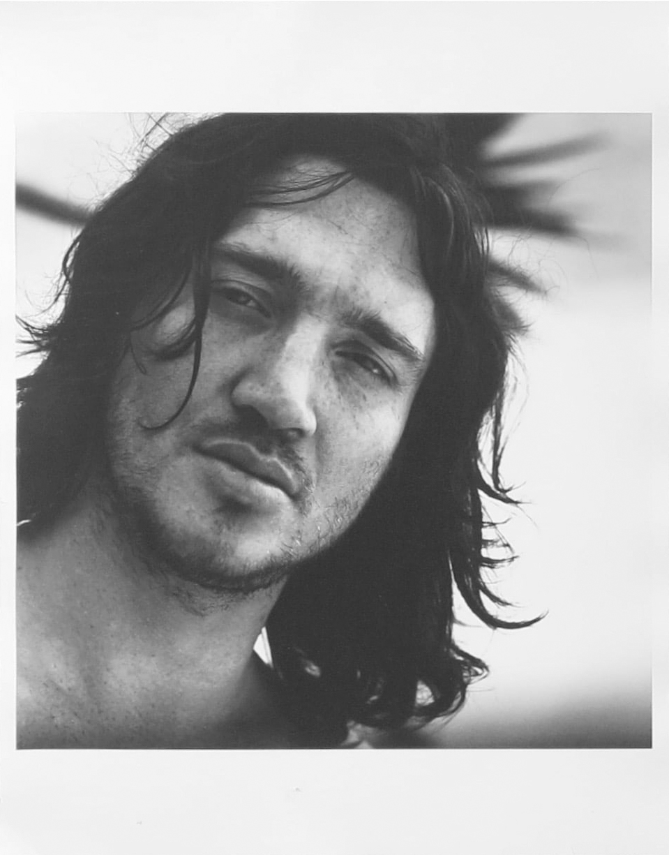 BIOBN, media: Moodboard (Fig. 7)