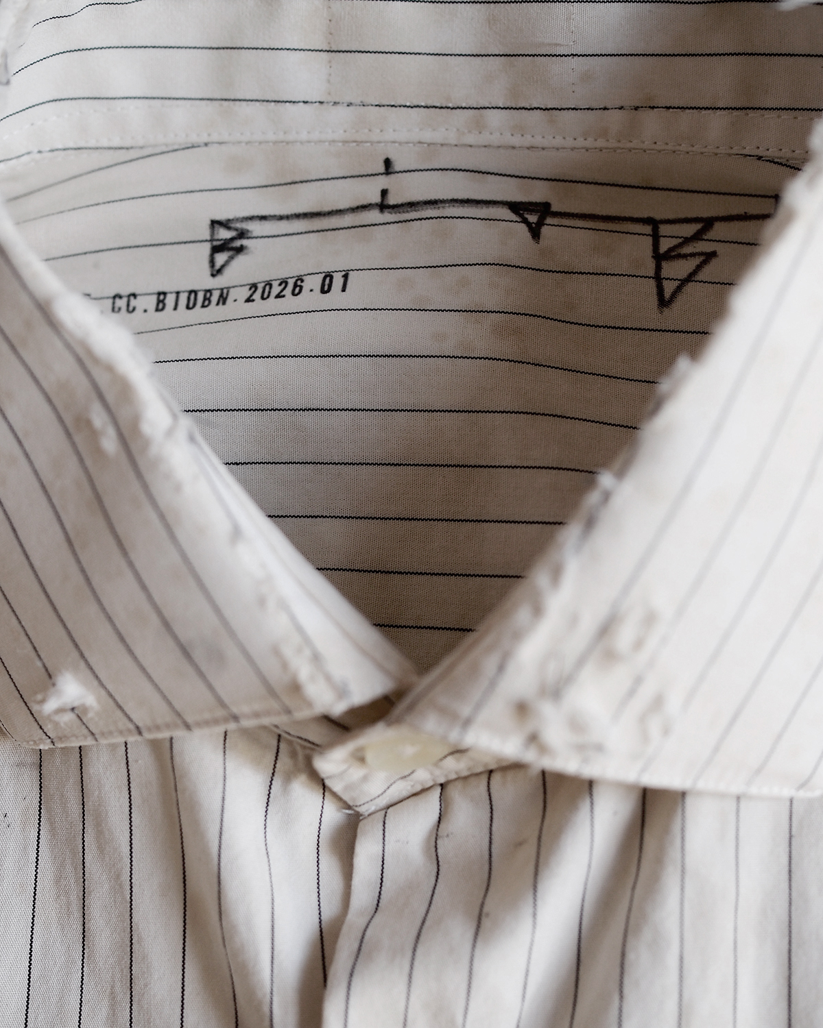 BIOBN, product: CUPIDO CUPIDO SHIRT (Slide 7)