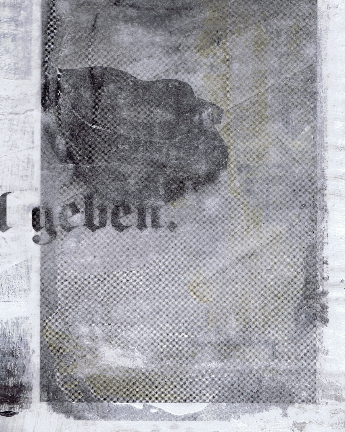 BIOBN, product: EIN JA (Slide 3)
