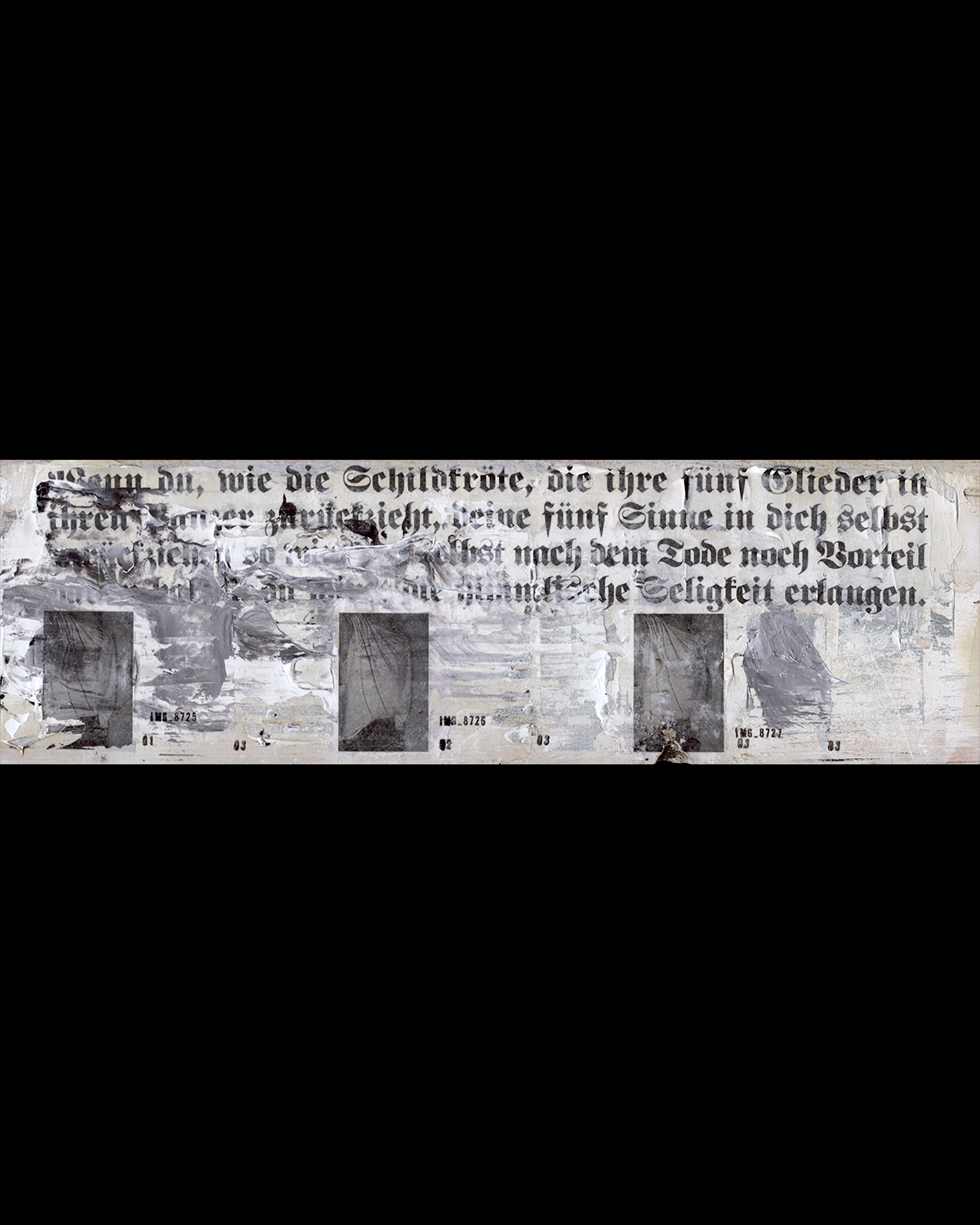 BIOBN, product: SCHILDKRÖTE (Slide 1)