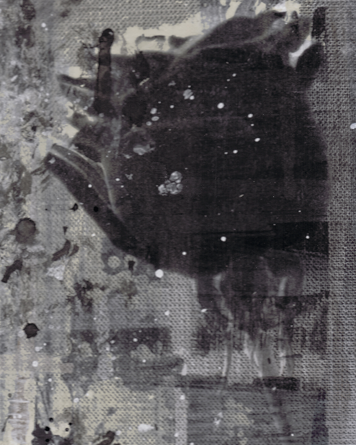 BIOBN, product: WERTE DER DÉCADENCE (Slide 4)